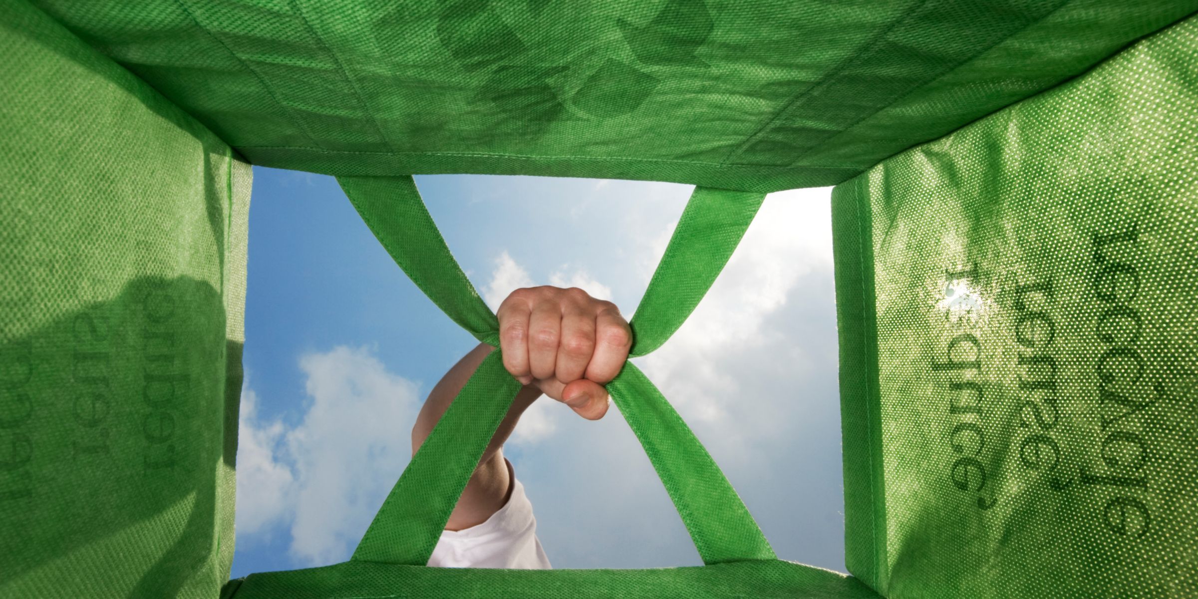 hand holding green shopping bag